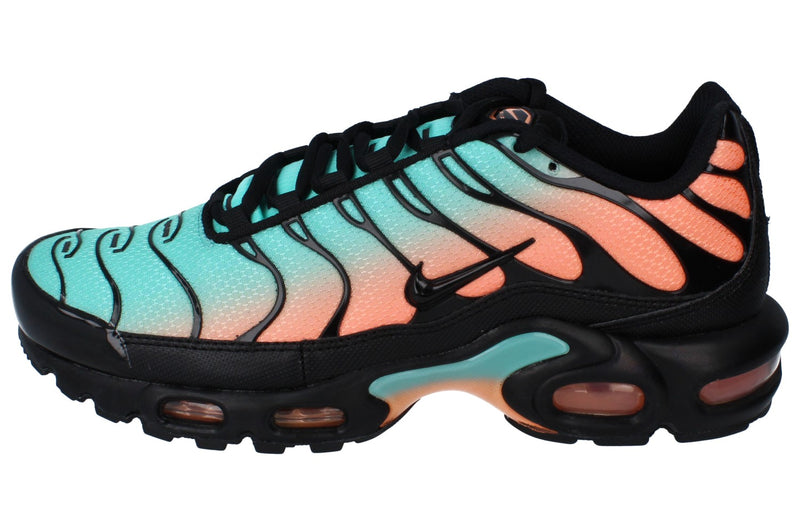 Nike Air Max Plus Mens Dm0032 022