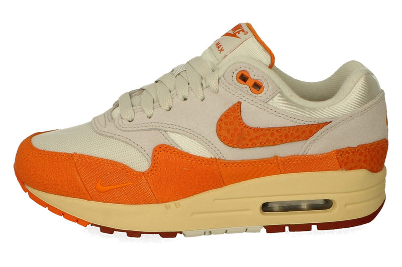 Nike Air Max 1 Womens Trainers Dz4709 001