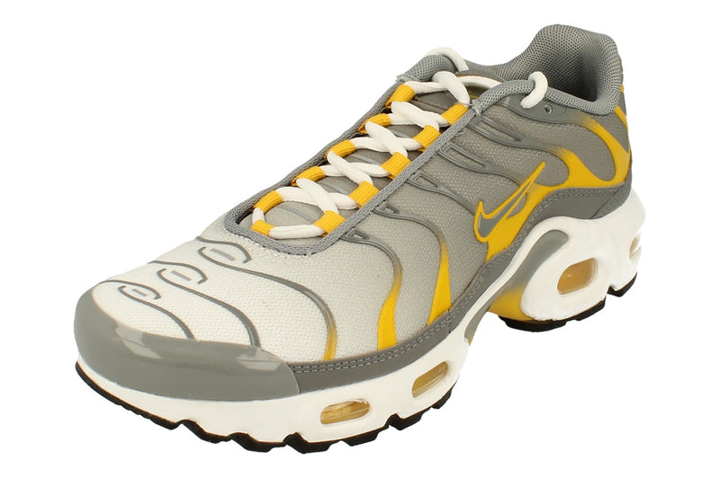 Nike Air Max Plus GS Dj4619 002