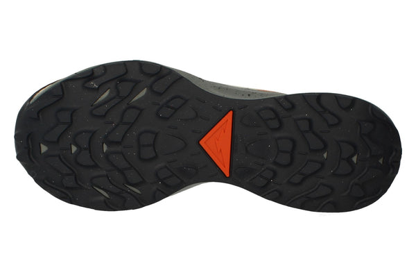Nike Air Pegasus Trail 3 Gtx Dc8793  200 - Rattan Campfire Orange 200 - Photo 0