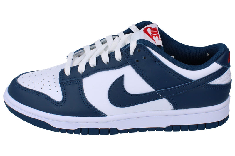 Nike Dunk Low Retro Mens Trainers Dd1391 400