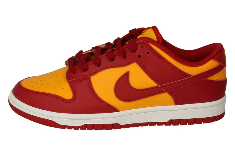 Nike Dunk Low Retro Mens Trainers DD1391 701