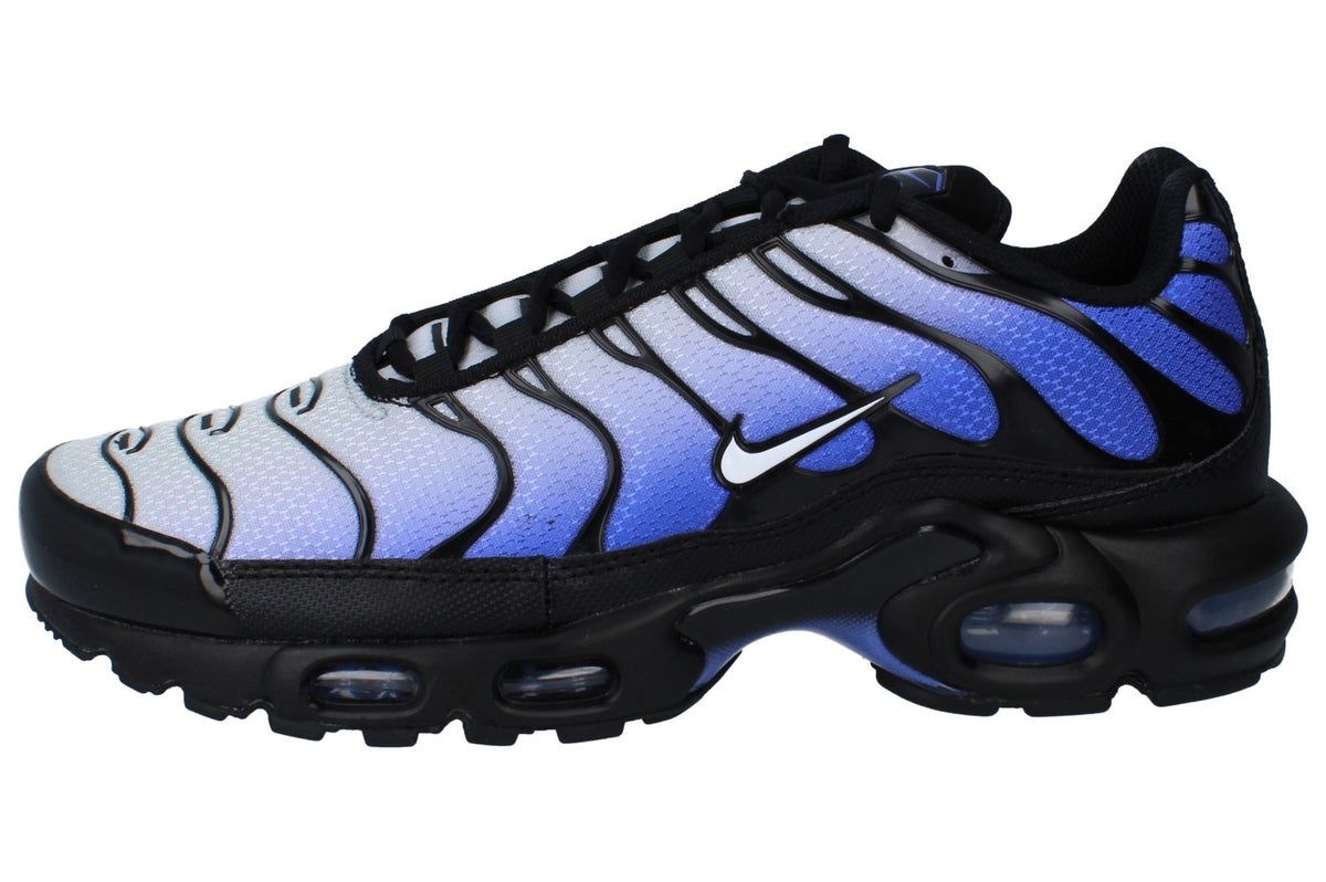 Nike Air Max Plus Mens Running Trainers DM0032 031