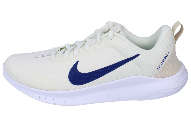 Nike Flex Experience RN 12 Mens Dv0740 103
