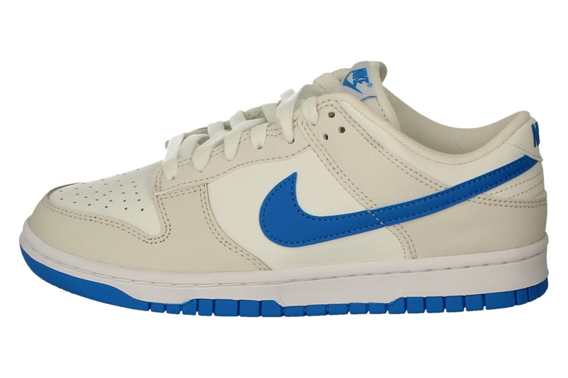 Nike Dunk Low Retro Mens Trainers DV0831 108