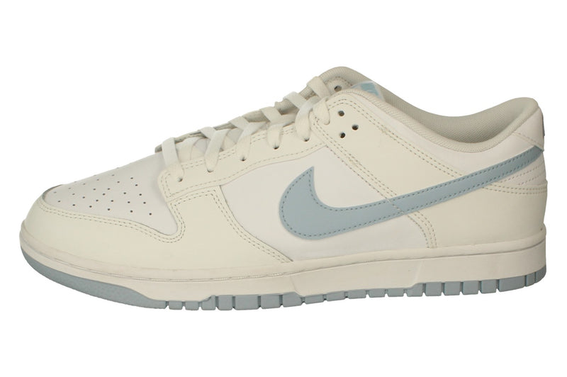 Nike Dunk Low Retro Mens Trainers Dv0831 109