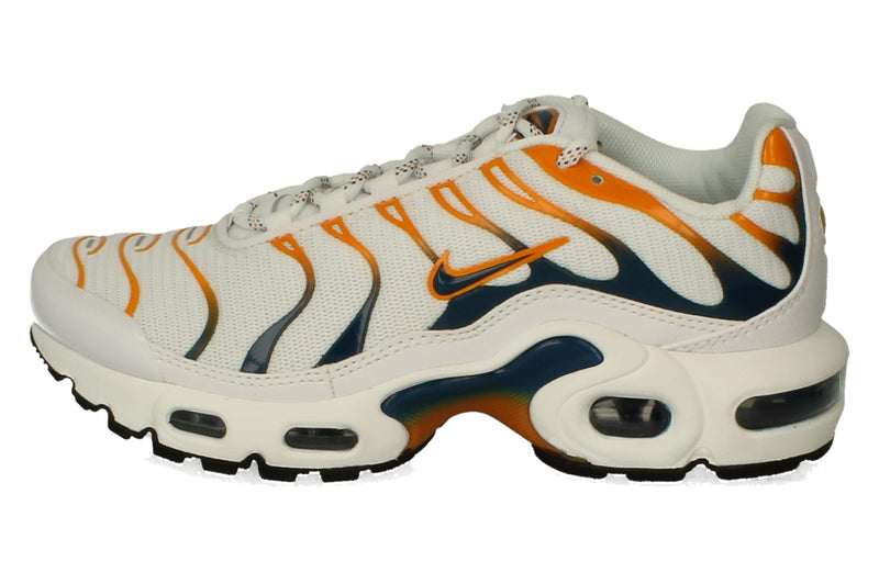 Nike Air Max Plus GS DV7083 100