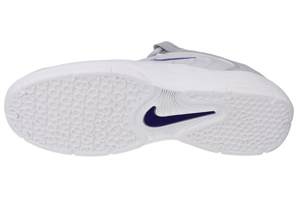 Nike Sb Vertebrae Mens Trainers Fd4691 006 - Platinum Tint 006 - Photo 0