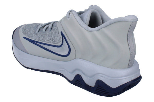 Nike Giannis Immortality 4 Mens Basketball Trainers Fq3680  008 - Wolf Grey Metallic Platinum 008 - Photo 0