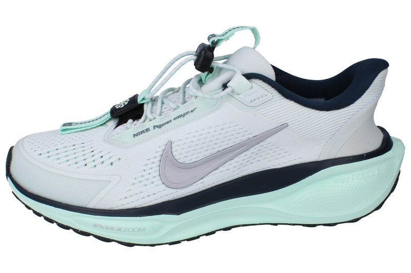 Nike Womens Pegasus Easyon Fq7844 400