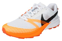 Nike Terra Kiger 10 Mens Running Trainers FV3929 101