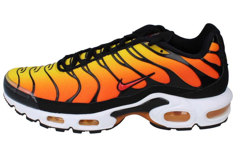 Nike Air Max Plus Mens Trainers HF0552 001