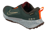Nike Juniper Trail 2 GTX V2 Womens Hm9725 300