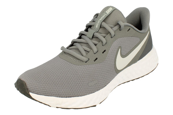 Nike Revolution 5 Mens Bq3204  005 - Cool Grey Pure Platinum 005 - Photo 0
