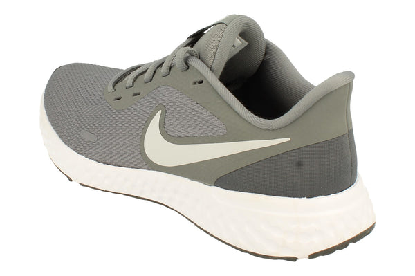 Nike Revolution 5 Mens Bq3204  005 - Cool Grey Pure Platinum 005 - Photo 0