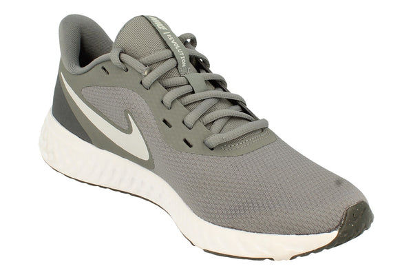 Nike Revolution 5 Mens Bq3204  005 - Cool Grey Pure Platinum 005 - Photo 0