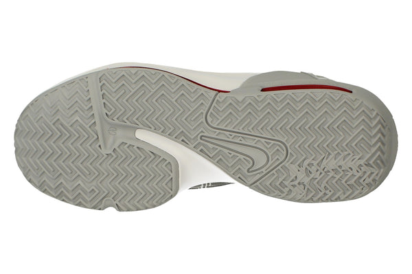 Nike Lebron Witness VI Mens Basketball Trainers Cz4052  003 - Pure Platinum Wolf Grey 003 - Photo 0