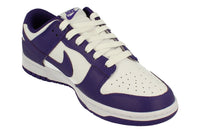 Nike Dunk Low Retro Mens Trainers DD1391 104