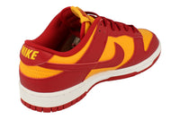 Nike Dunk Low Retro Mens Trainers DD1391 701