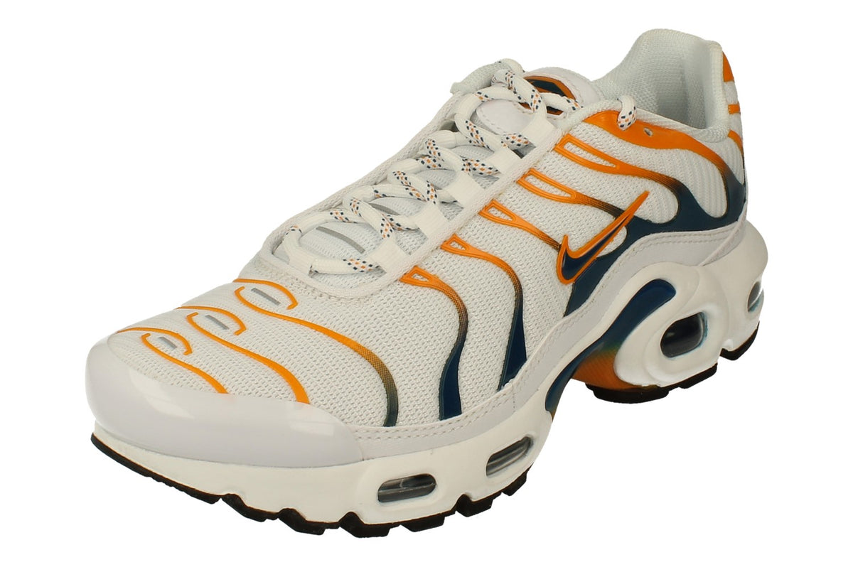 Nike Air Max Plus GS DV7083 100