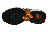 Nike Air Max Plus GS DV7083 100
